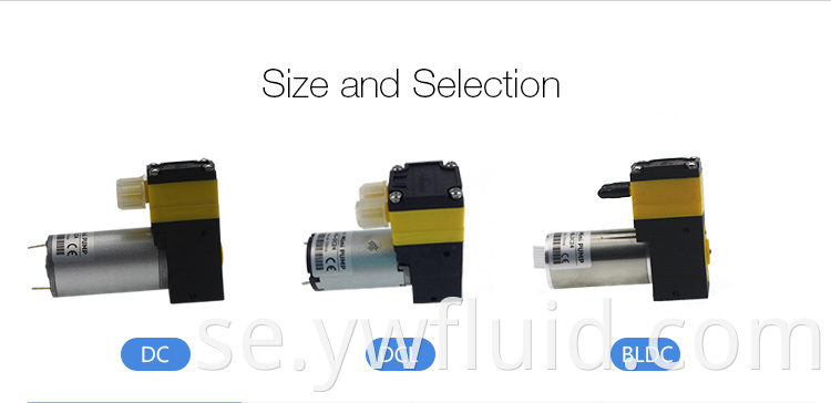 YW05-A-BLDC 12V 24V Brushless Membran Pump Single Head Oil-Free Fresh Water Pump 320 ml/Min Luft Membran Pump 3L/min